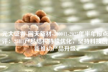 光大证券-回天新材-300041-2025年半年报点评：25H1产品结构持续优化，坚持科技创新推动产品升级