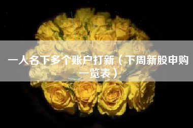 一人名下多个账户打新（下周新股申购一览表）