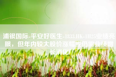 浦银国际-平安好医生-1833.HK-1H25业绩亮眼，但年内较大股价涨幅或仍需业绩增长消化