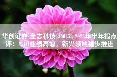华创证券-全志科技-300458-2025年半年报点评：25H1业绩高增，新兴领域稳步推进