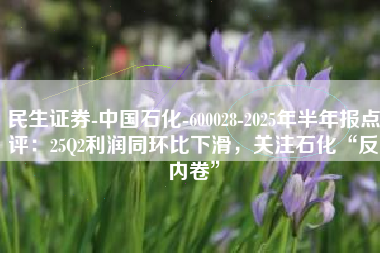 民生证券-中国石化-600028-2025年半年报点评：25Q2利润同环比下滑，关注石化“反内卷”