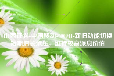 山西证券-中国移动-600941-新旧动能切换短期增长承压，维持较高派息价值