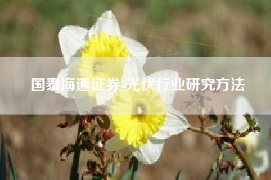 国泰海通证券-光伏行业研究方法