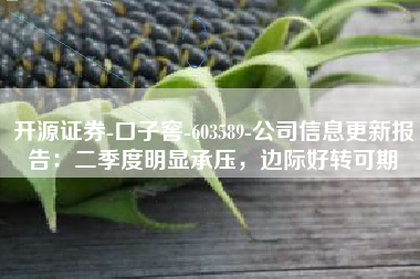 开源证券-口子窖-603589-公司信息更新报告：二季度明显承压，边际好转可期
