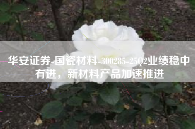 华安证券-国瓷材料-300285-25Q2业绩稳中有进，新材料产品加速推进