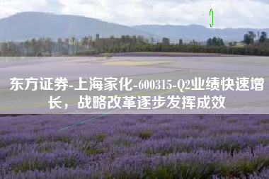东方证券-上海家化-600315-Q2业绩快速增长，战略改革逐步发挥成效