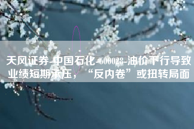 天风证券-中国石化-600028-油价下行导致业绩短期承压，“反内卷”或扭转局面