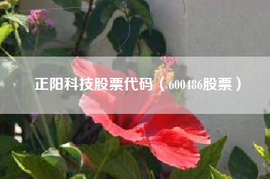 正阳科技股票代码（600486股票）