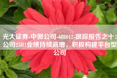 光大证券-中微公司-688012-跟踪报告之十：公司25H1业绩持续高增，积极构建平台型公司