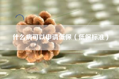 什么病可以申请低保（低保标准）