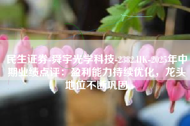 民生证券-舜宇光学科技-2382.HK-2025年中期业绩点评：盈利能力持续优化，龙头地位不断巩固