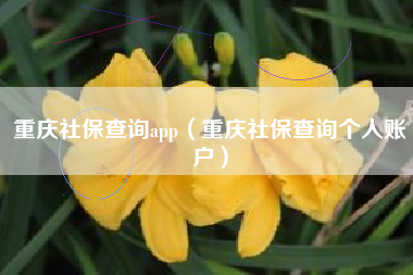 重庆社保查询app（重庆社保查询个人账户）