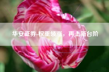 华安证券-权重领涨，再上新台阶