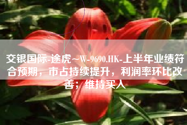 交银国际-途虎~W-9690.HK-上半年业绩符合预期，市占持续提升，利润率环比改善；维持买入