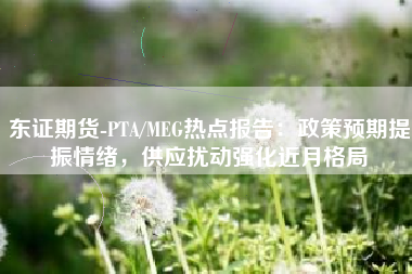 东证期货-PTA/MEG热点报告：政策预期提振情绪，供应扰动强化近月格局