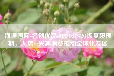 海通国际-名创优品-MNSO.US-2Q恢复超预期，大店+兴趣消费推动全球化发展