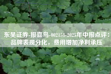 东吴证券-报喜鸟-002154-2025年中报点评：品牌表现分化，费用增加净利承压