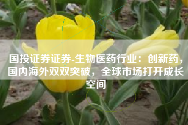 国投证券证券-生物医药行业：创新药，国内海外双双突破，全球市场打开成长空间