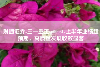 财通证券-三一重工-600031-上半年业绩超预期，高质量发展收效显著