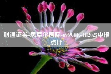 财通证券-思摩尔国际-6969.HK-1H2025中报点评