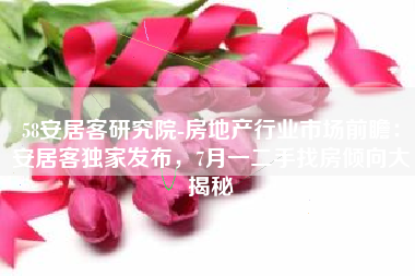 58安居客研究院-房地产行业市场前瞻：安居客独家发布，7月一二手找房倾向大揭秘