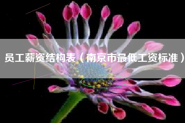员工薪资结构表（南京市最低工资标准）