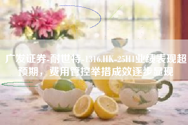 广发证券-耐世特-1316.HK-25H1业绩表现超预期，费用管控举措成效逐步显现
