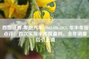 西部证券-零跑汽车-9863.HK-2025 年半年报点评：首次实现半年度盈利，全年销量指引上调