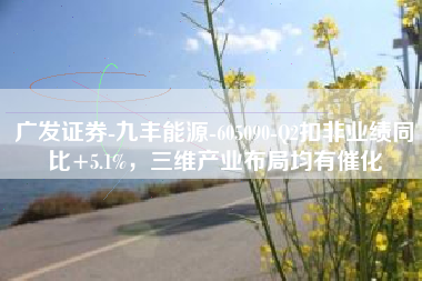 广发证券-九丰能源-605090-Q2扣非业绩同比+5.1%，三维产业布局均有催化
