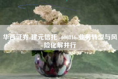 华西证券-建元信托 -600816-业务转型与风险化解并行