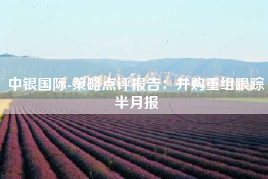 中银国际-策略点评报告：并购重组跟踪半月报
