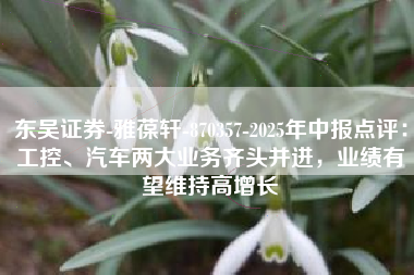 东吴证券-雅葆轩-870357-2025年中报点评：工控、汽车两大业务齐头并进，业绩有望维持高增长