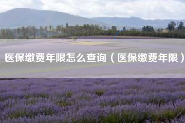 医保缴费年限怎么查询（医保缴费年限）