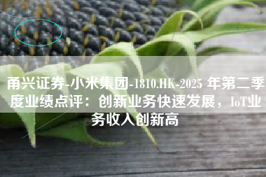 甬兴证券-小米集团-1810.HK-2025 年第二季度业绩点评：创新业务快速发展，IoT业务收入创新高
