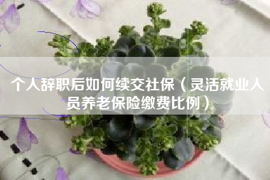 个人辞职后如何续交社保（灵活就业人员养老保险缴费比例）