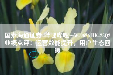 国泰海通证券-哔哩哔哩~W-9626.HK-25Q2业绩点评：运营效能提升，用户生态回暖