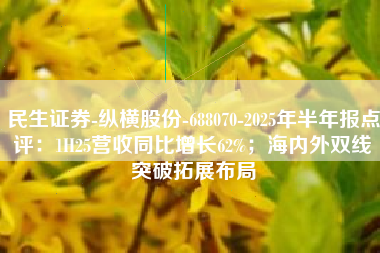 民生证券-纵横股份-688070-2025年半年报点评：1H25营收同比增长62%；海内外双线突破拓展布局