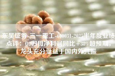 东吴证券-三一重工-600031-2025半年度业绩点评：Q2归母净利润同比+38%超预期，龙头充分受益于国内外共振