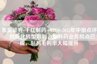 东吴证券-千红制药-002550-2025年中报点评：创新化转型顺利，原料药业务拐点已现，制剂毛利率大幅提升