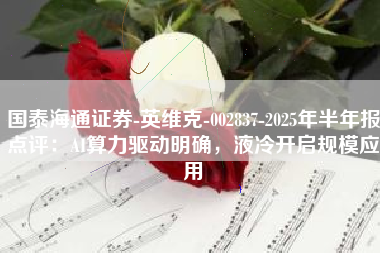 国泰海通证券-英维克-002837-2025年半年报点评：AI算力驱动明确，液冷开启规模应用