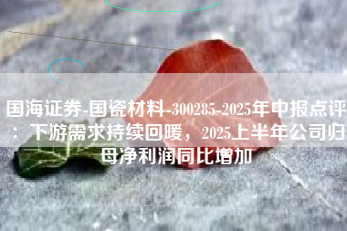 国海证券-国瓷材料-300285-2025年中报点评：下游需求持续回暖，2025上半年公司归母净利润同比增加