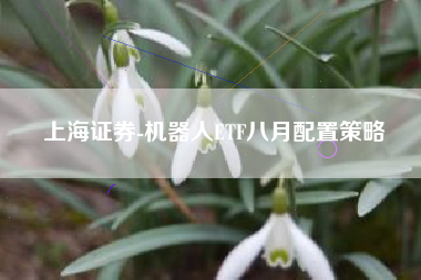 上海证券-机器人ETF八月配置策略