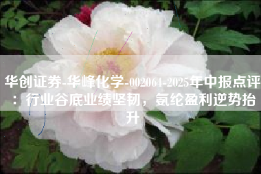 华创证券-华峰化学-002064-2025年中报点评：行业谷底业绩坚韧，氨纶盈利逆势抬升