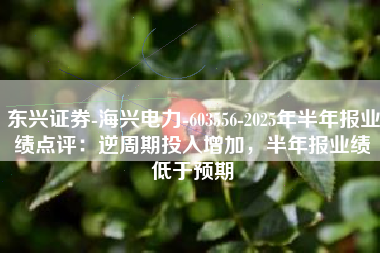 东兴证券-海兴电力-603556-2025年半年报业绩点评：逆周期投入增加，半年报业绩低于预期