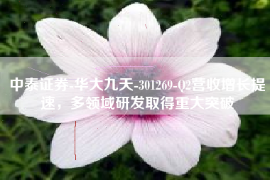 中泰证券-华大九天-301269-Q2营收增长提速，多领域研发取得重大突破