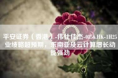 平安证券（香港）-伟仕佳杰-0856.HK-1H25业绩略超预期，东南亚及云计算增长动能强劲