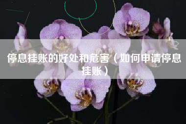 停息挂账的好处和危害（如何申请停息挂账）