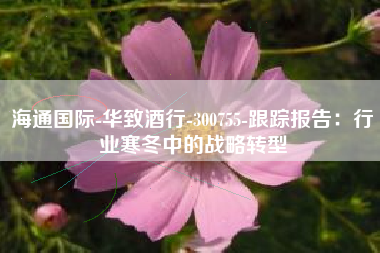 海通国际-华致酒行-300755-跟踪报告：行业寒冬中的战略转型