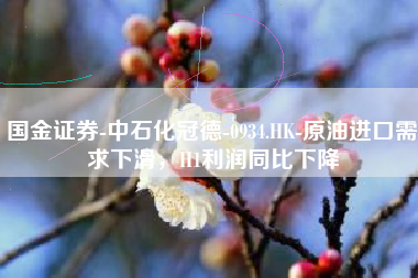国金证券-中石化冠德-0934.HK-原油进口需求下滑，H1利润同比下降