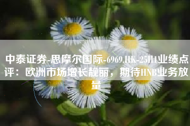 中泰证券-思摩尔国际-6969.HK-25H1业绩点评：欧洲市场增长靓丽，期待HNB业务放量